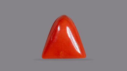 Natural Italian Red Coral (Moonga) 7.15 Carats