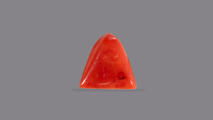 Natural Italian Red Coral (Moonga) 5.19 Carats