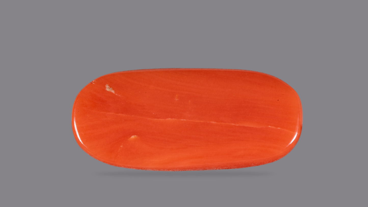 Natural Italian Red Coral (Moonga) 7.09 Carats