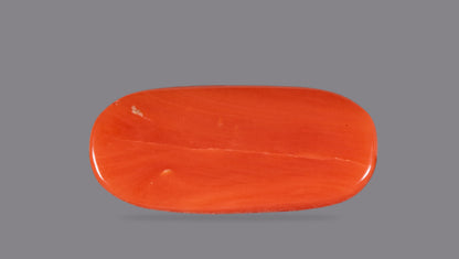 Natural Italian Red Coral (Moonga) 7.09 Carats