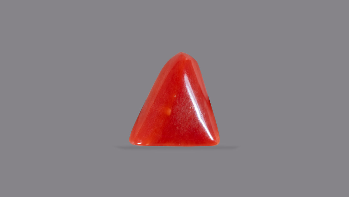 Natural Italian Red Coral (Moonga) 5.75 Carats