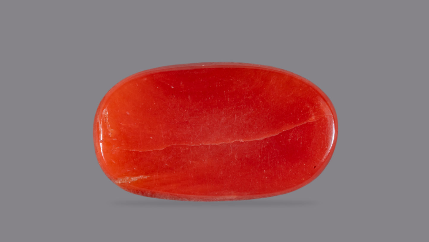 NATURAL RED CORAL (Moonga) 5.85 CARATS