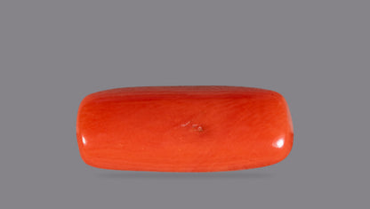 Natural Red Coral (Moonga) 7.09 Carats