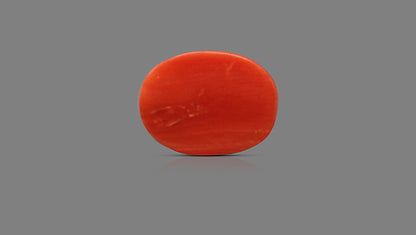 Natural Italian Red Coral (Moonga) 9.17 Carats