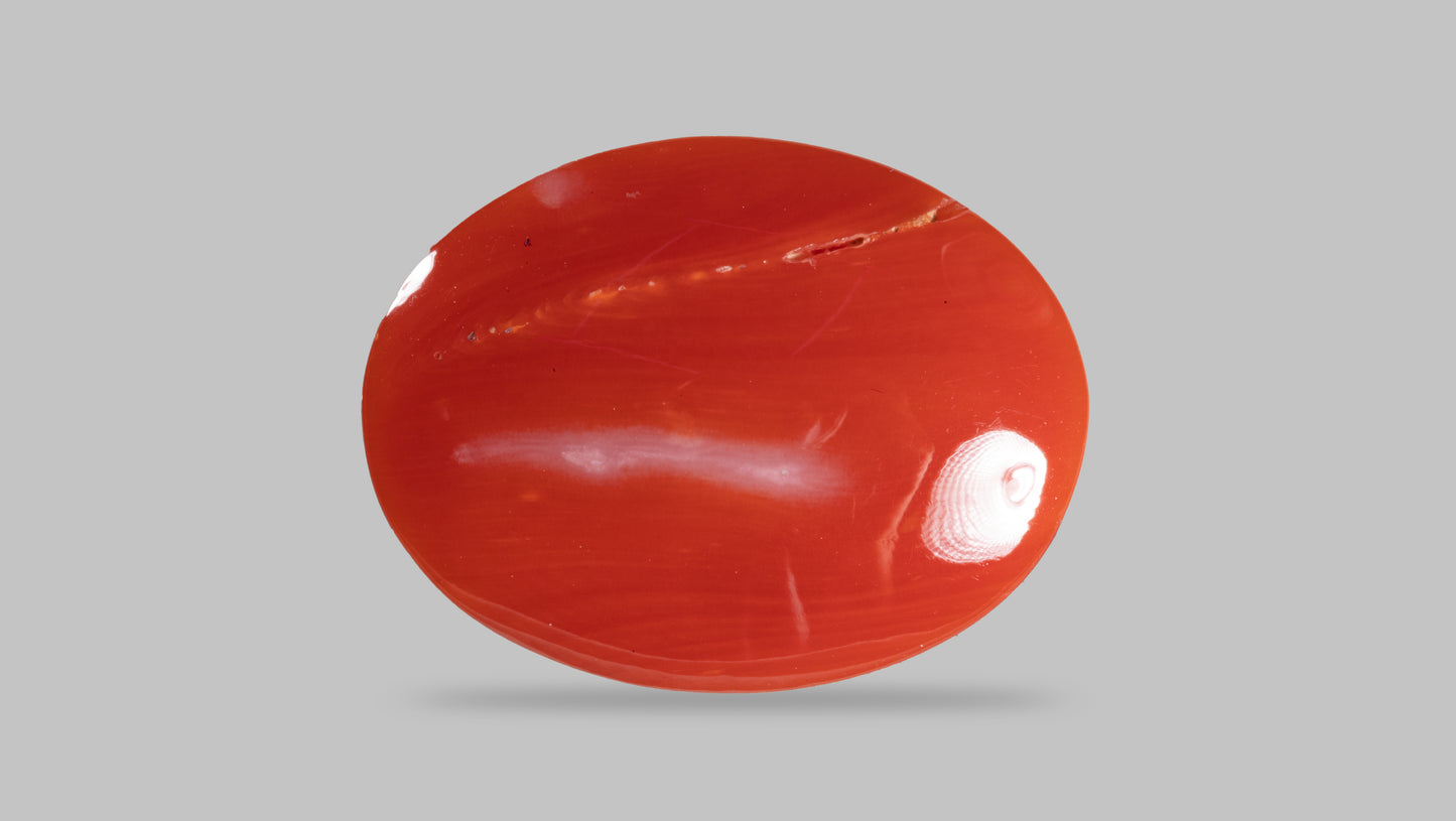 Japanese Red Coral (Moonga) 16.24 Carats