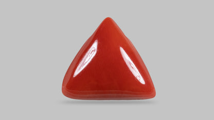 Natural Italian Red Coral (Moonga) 18.05 Carats
