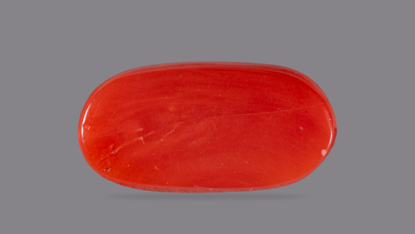 Natural Italian Red Coral (Moonga) 8.10 Carats