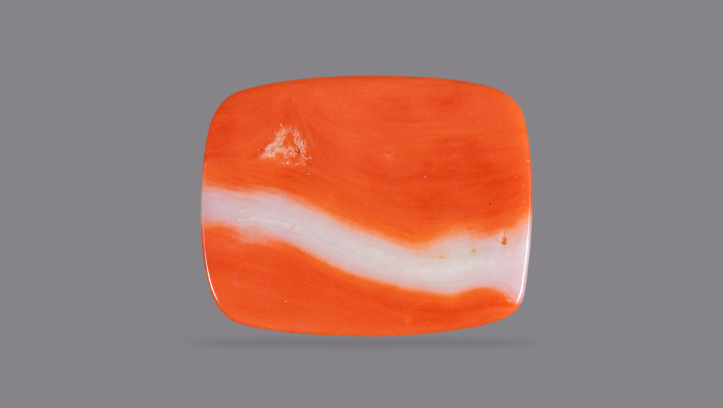 Japanese Red Coral (Moonga) 19.90 Carats