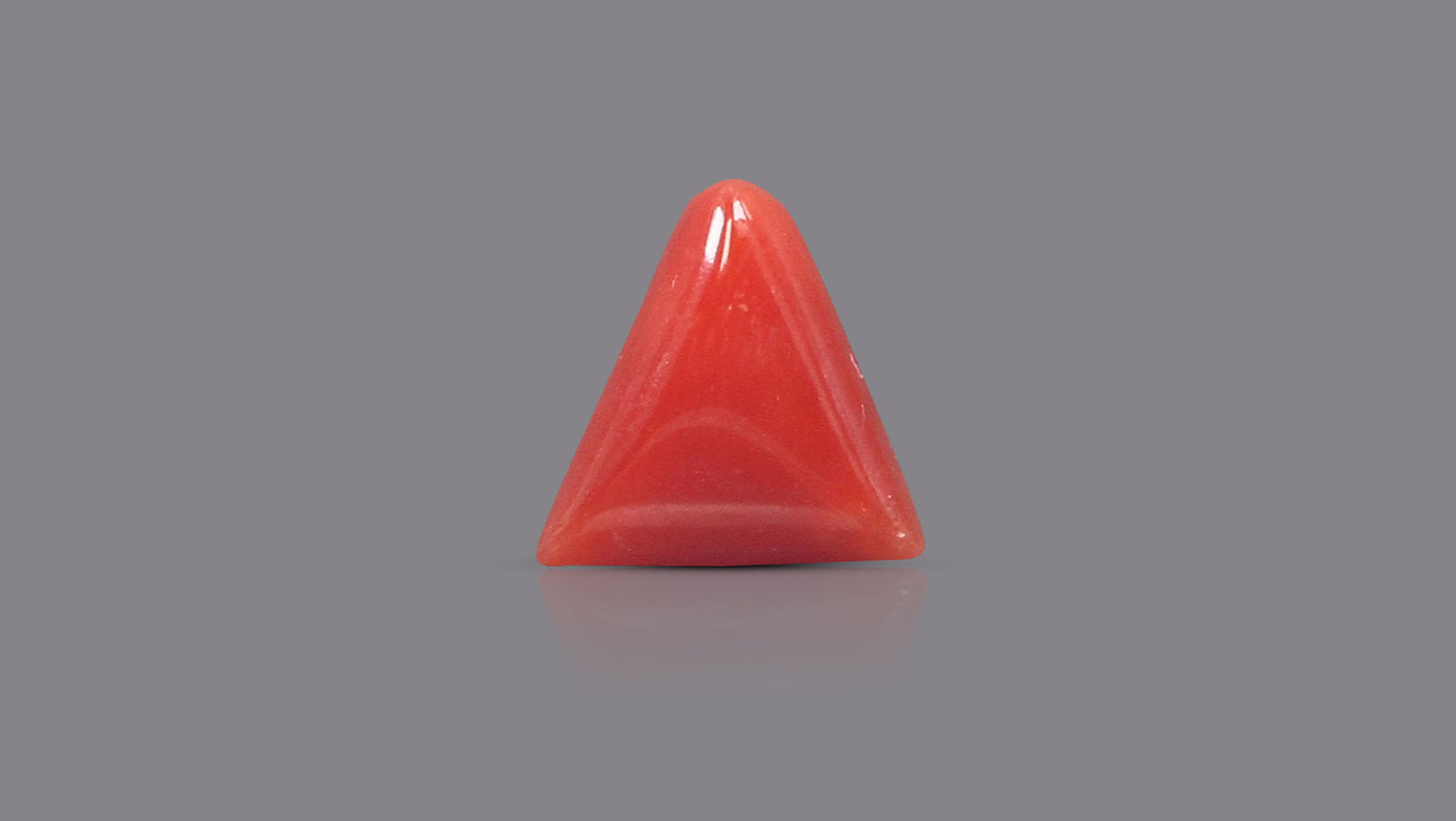 Natural Italian Red Coral (Moonga) 6.31 Carats