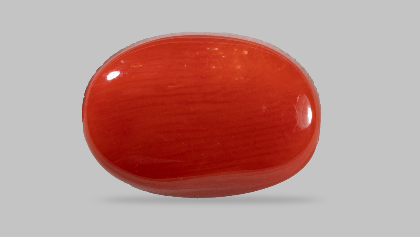 NATURAL RED CORAL (MOONGA) 11.88 CARATS