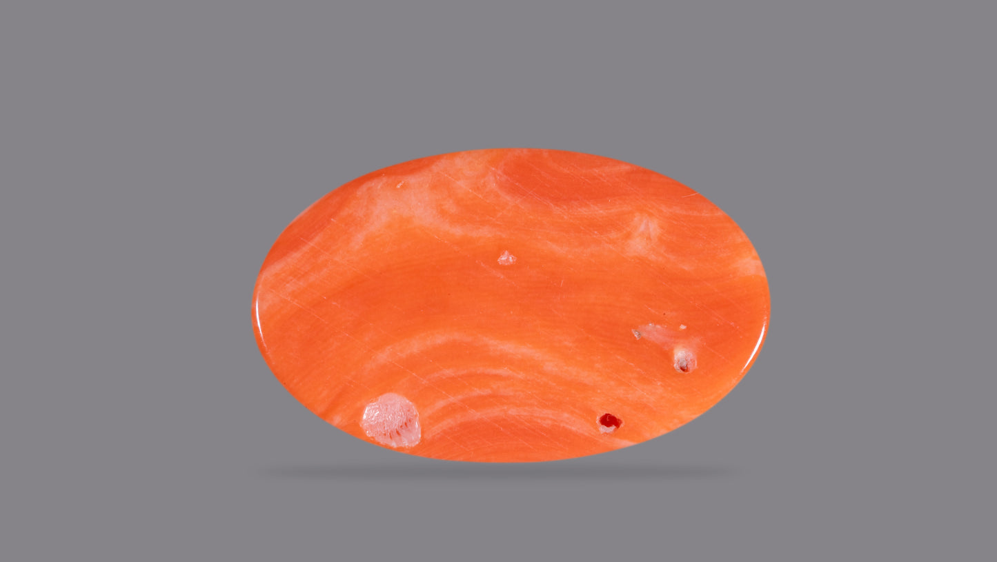Japanese Red Coral (Moonga) 11.49 Carats