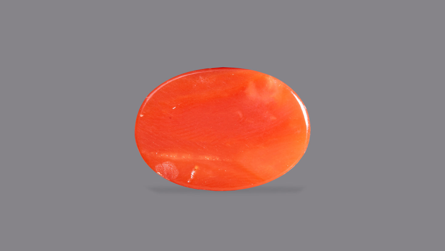 Japanese Red Coral (Moonga) 5.67 Carats