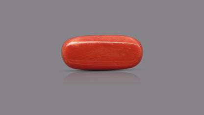 Natural Italian Red Coral (Moonga) 12.02 Carats