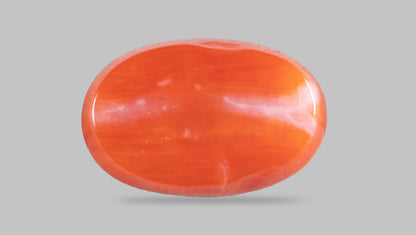 Japanese Red Coral (Moonga) 4.57 Carats