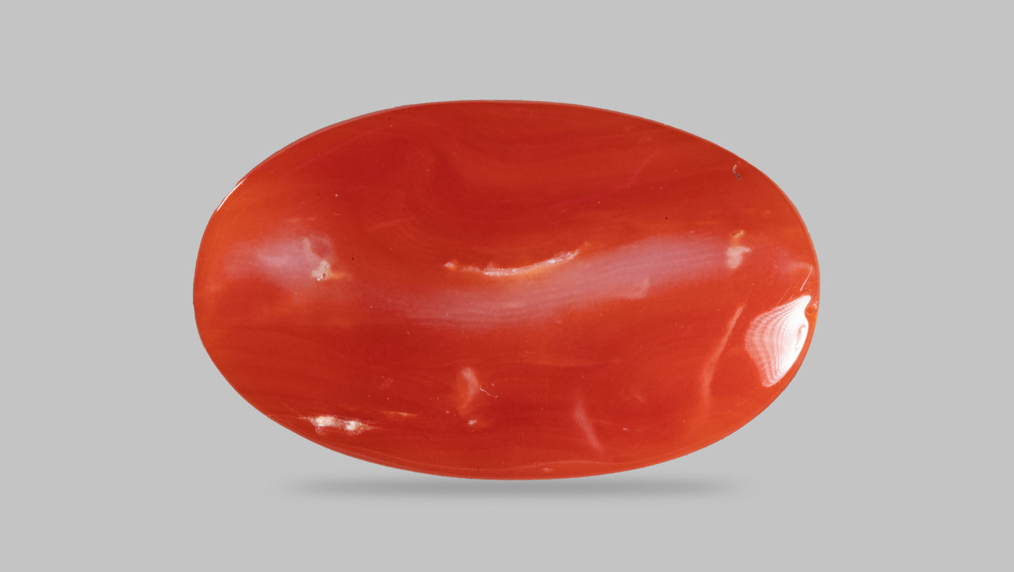 Japanese Red Coral (Moonga) 16.28 Carats