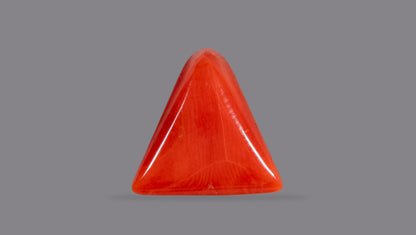 Natural Italian Red Coral (Moonga) 6.95 Carats