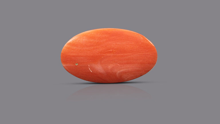 Japanese Red Coral (Moonga) 10.53 Carats