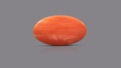 Japanese Red Coral (Moonga) 10.53 Carats