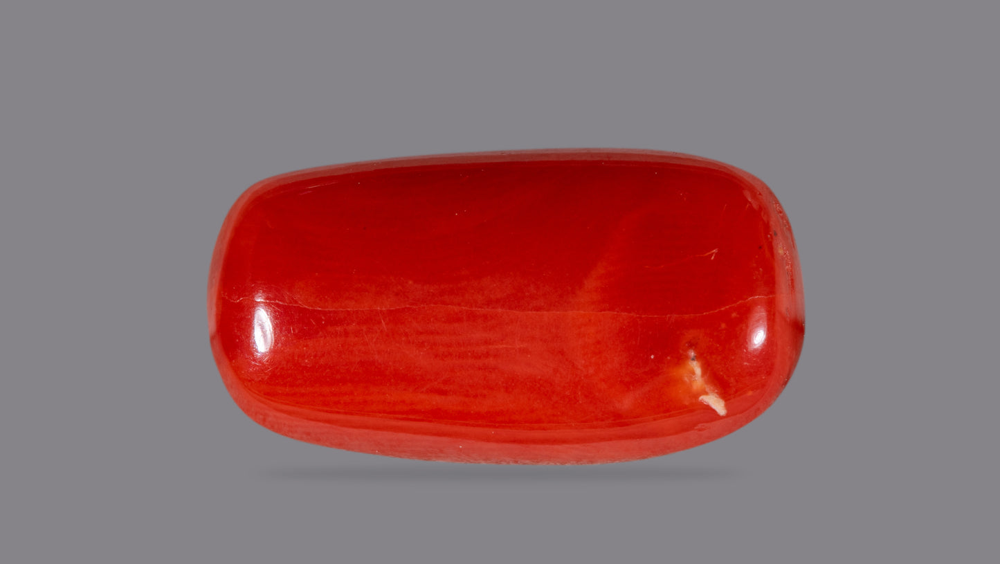 Natural Italian Red Coral (Moonga) 7.04 Carats