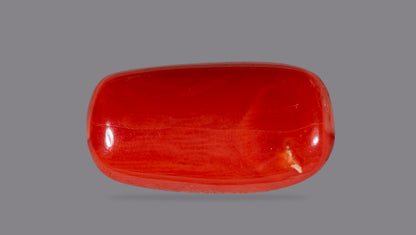 Natural Italian Red Coral (Moonga) 7.04 Carats