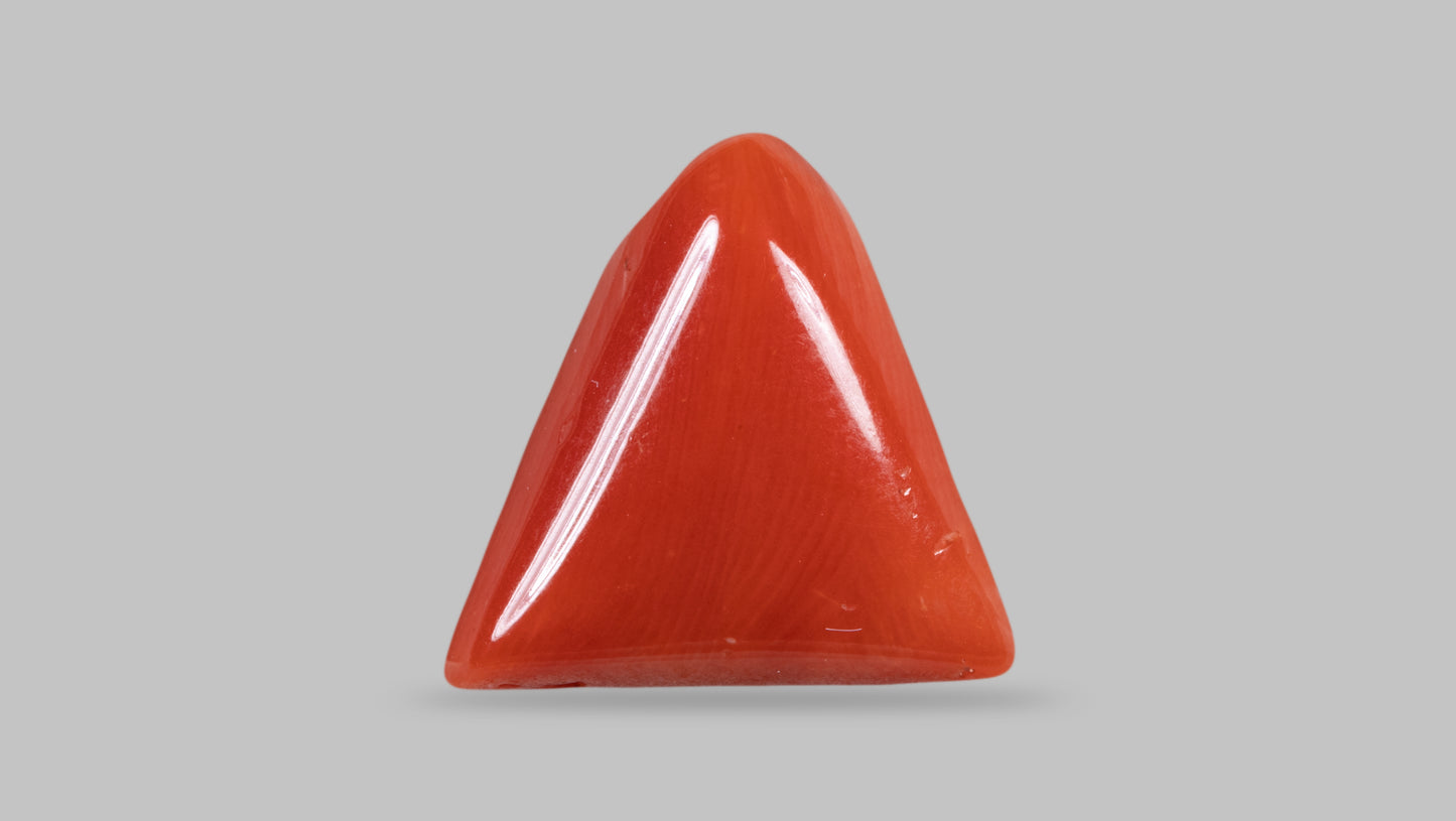 NATURAL RED CORAL (MOONGA) 7.82 CARATS