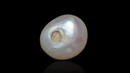 Natural Venezuela Pearl 5.64 Carats