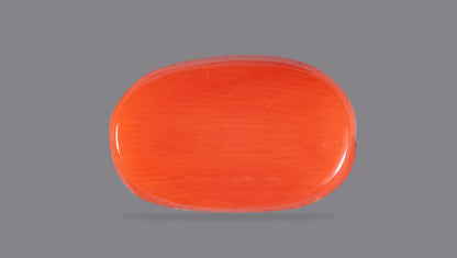 Natural Italian Red Coral (Moonga) 8.36 Carats