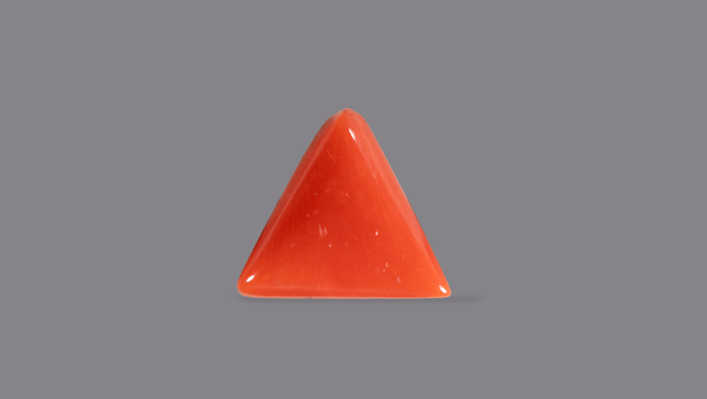 Natural Italian Red Coral (Moonga) 5.94 Carats