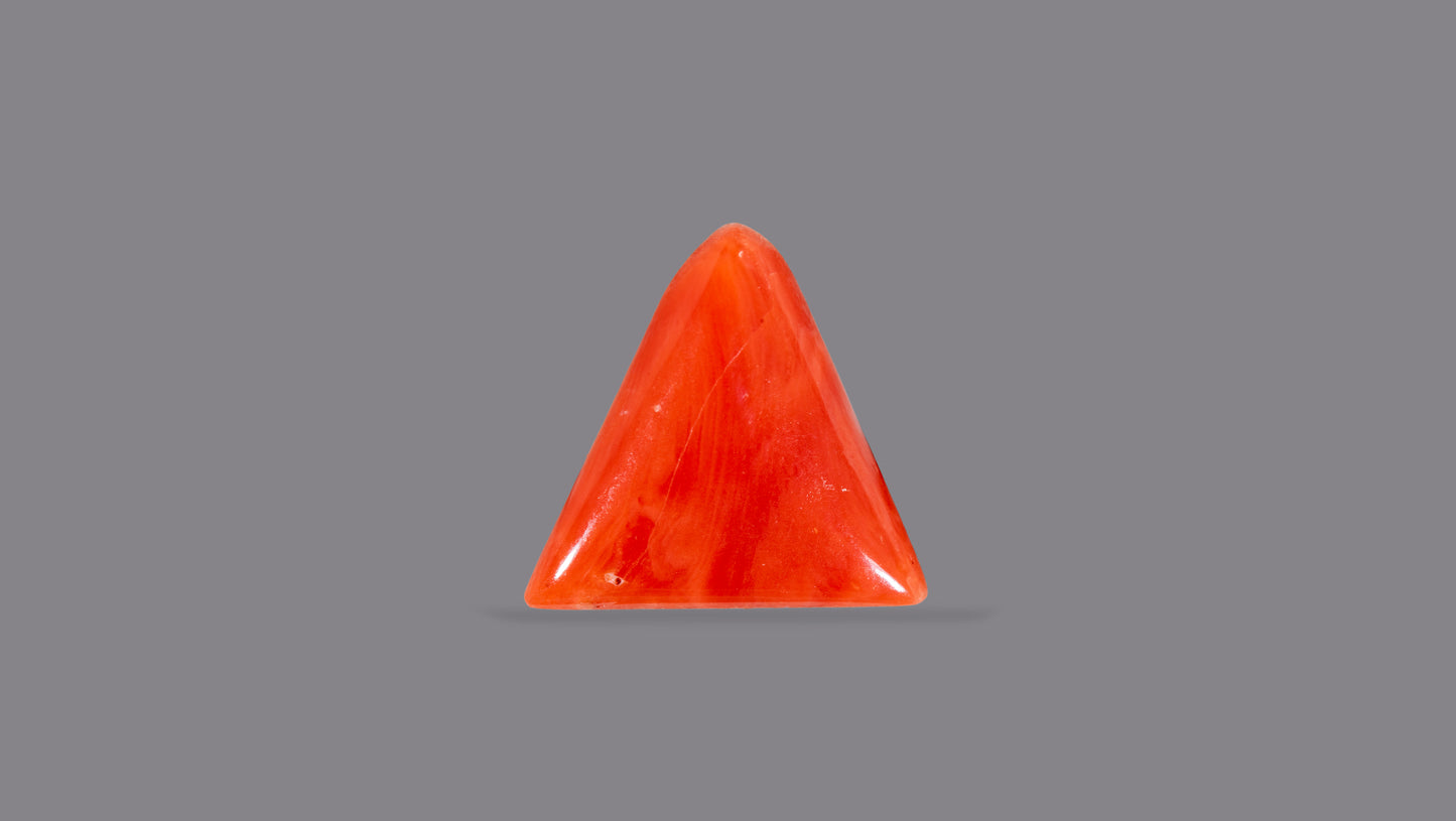 Natural Italian Red Coral (Moonga) 5.24 Carats