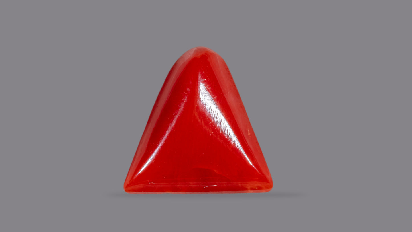 Natural Italian Red Coral (Moonga) 6.91 Carats