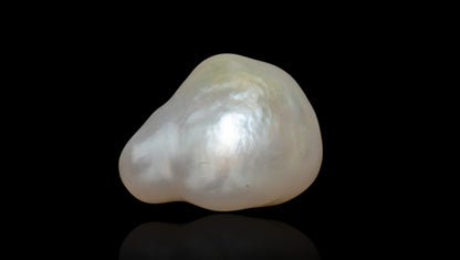 Natural Venezuela Pearl 7.53 Carats