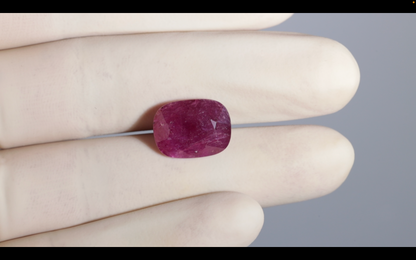 Natural Mozambique Ruby (Manik) 13.14 Carats