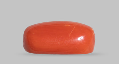 Natural Italian Red Coral (Moonga) 7.58 Carats