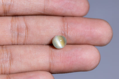 Natural Cat'S Eye (Lehsuniya) 5.13 Carats