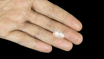 Venezuela Pearl (Moti) 10.01 Carats