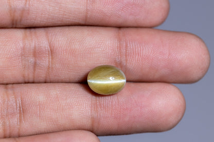 Natural Cat'S Eye (Chrysoberyl) 7.97  Carats