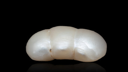 Natural Basra Pearl (Moti) 2.54 Carats