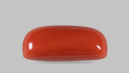 Natural Italian Red Coral (Moonga) 14.19 Carats