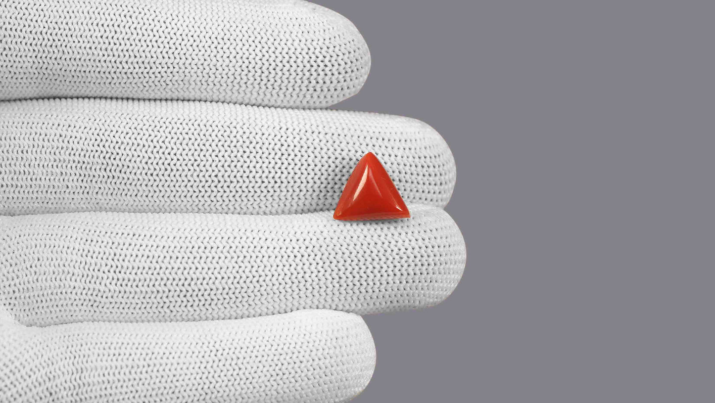 Natural Italian Red Coral (Moonga) 5.74 Carats