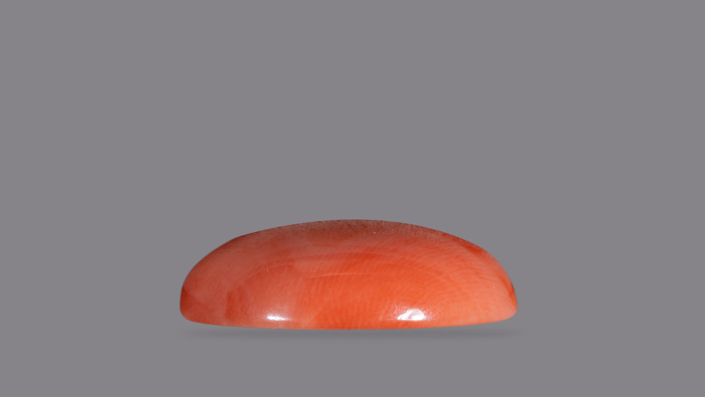 Japanese Red Coral (Moonga) 14.79 Carats