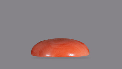 Japanese Red Coral (Moonga) 14.79 Carats