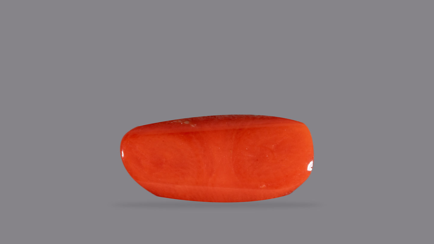 Natural Italian Red Coral (Moonga) 6.75 Carats