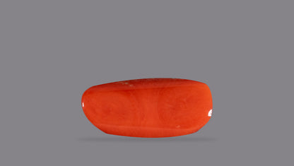 Natural Italian Red Coral (Moonga) 6.75 Carats