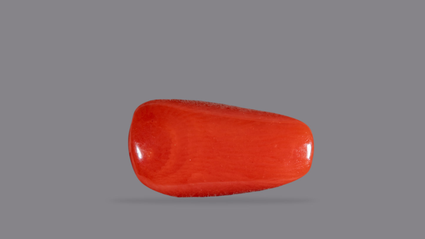 Natural Italian Red Coral (Moonga) 7.05 Carats