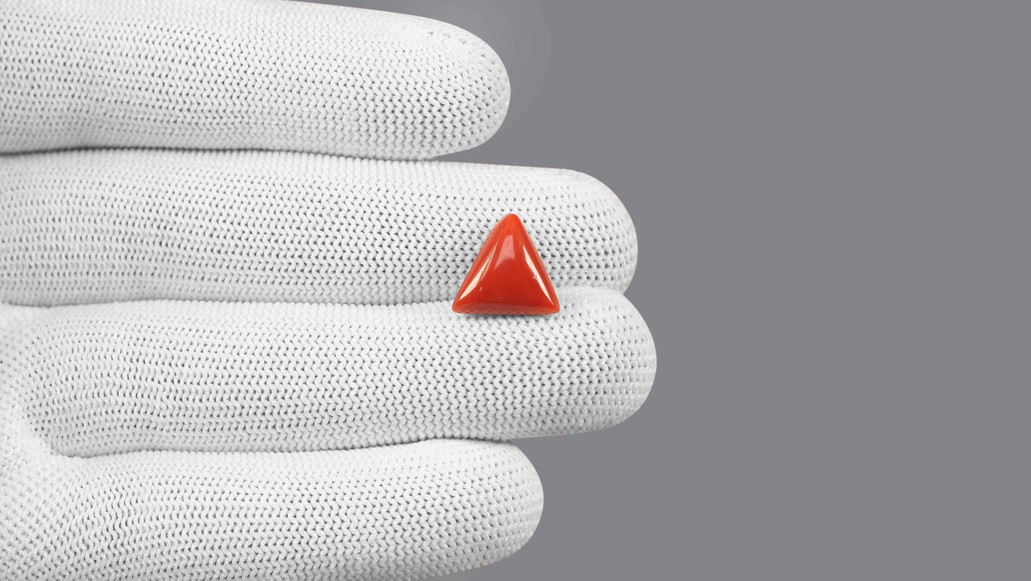 Natural Italian Red Coral (Moonga) 6.00 Carats