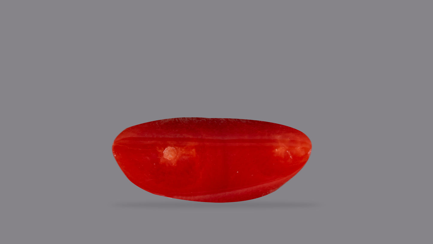 Natural Italian Red Coral (Moonga) 6.91 Carats