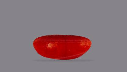 Natural Italian Red Coral (Moonga) 6.91 Carats