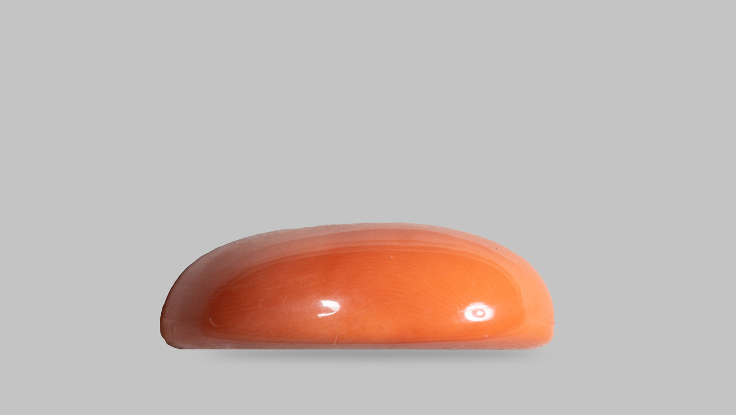 Japanese Red Coral (Moonga) 41.83 Carats