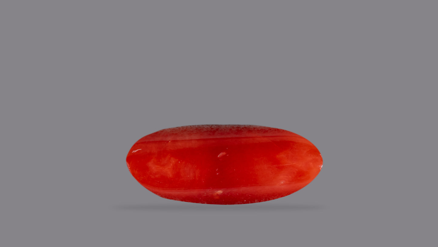 Natural Italian Red Coral (Moonga) 6.81 Carats