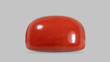 NATURAL RED CORAL (MOONGA) 11.88 CARATS